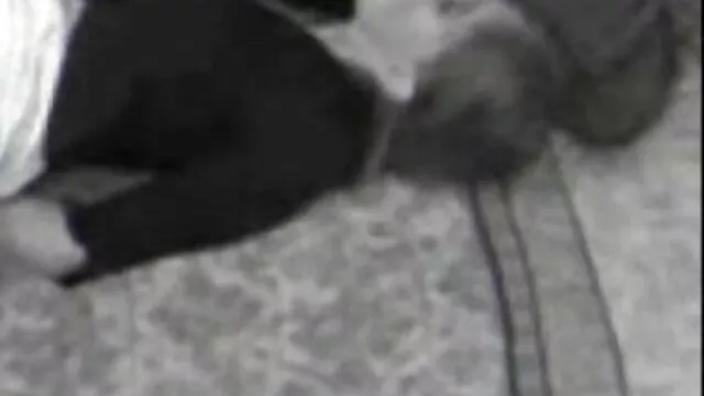 अश्लील कोई पंजीकरण  एमेच्योर अनीता सेक्सी पिक्चर वीडियो में वीडियो में बी का एक अजनबी के साथ झगड़ा हुआ था