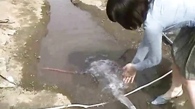अश्लील कोई पंजीकरण  क्लासिक सेक्स पिक्चर फिल्म वीडियो सत्तर पोर्न